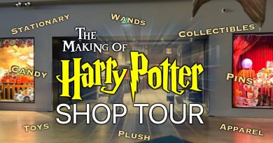 Best online Harry Potter Shops for every fan🧙‍♂️✨